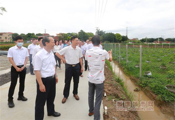 2020年5月22日，佛山市委副书记、顺德区委书记郭文海带队到三水区沙围村调研产业振兴、人才振兴等方面情况[1]_wps图片_副本.jpg