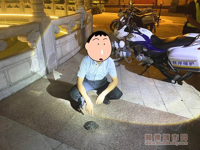 鲁某偷盗40余只乌龟，价值5400元。.jpg