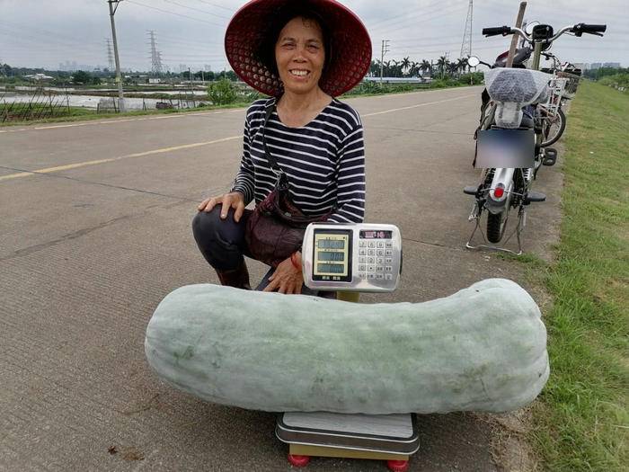 最重“混血瓜寶寶”.jpg
