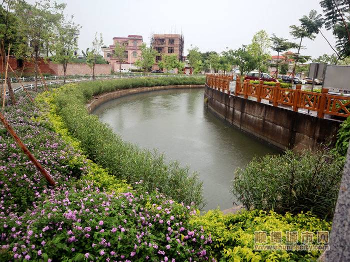 创文在行动顺德微改造打造美丽新村居