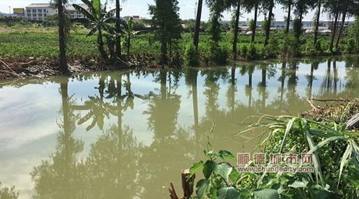 桃村二支涌危桥拆除后（二桥）_副本.jpg