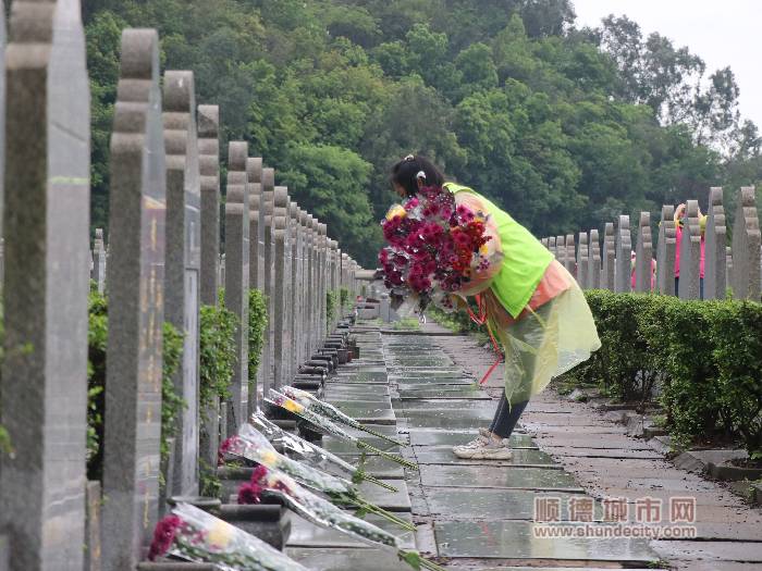 一墓一花 勒流组织40名义工清明节代祭 顺德城市网