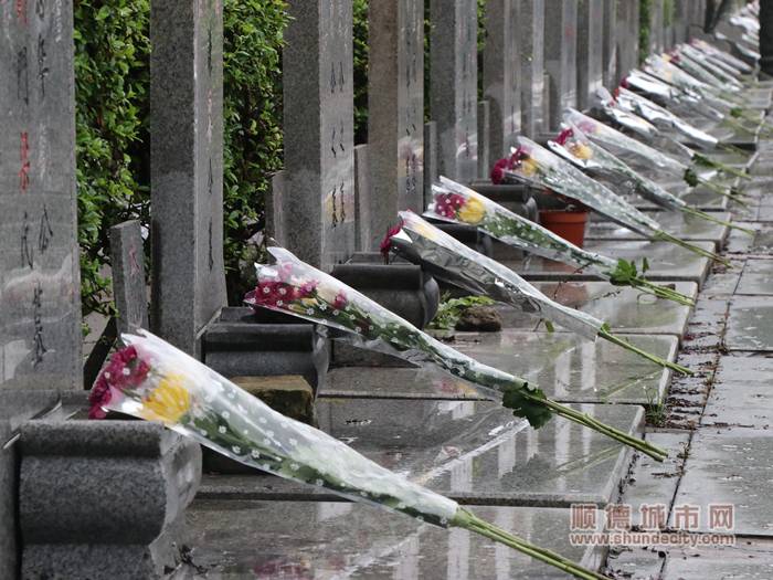 一墓一花,勒流组织40名义工清明节代祭