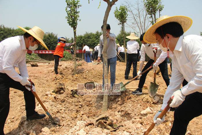 0生态提升植树活动 (13).JPG